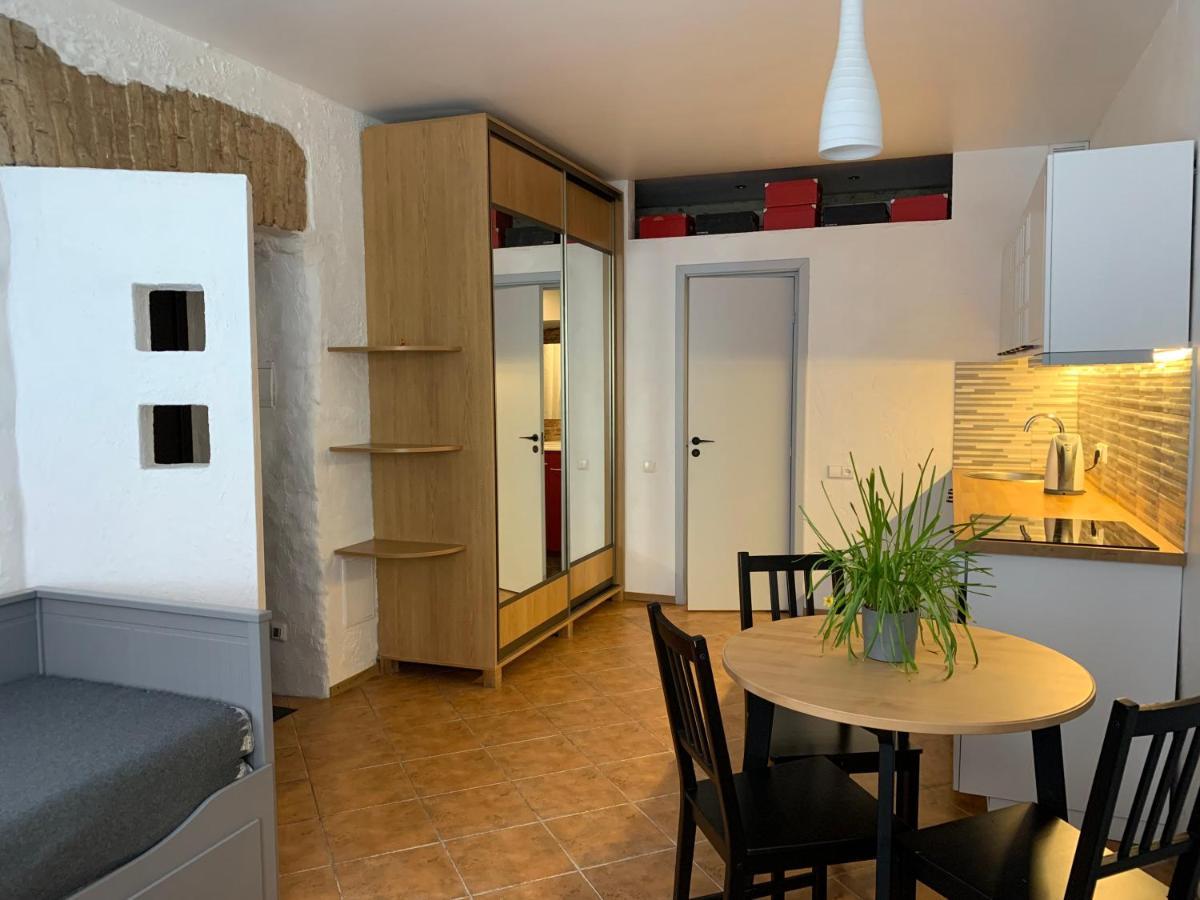 Old Studio Apartment فيلنيوس المظهر الخارجي الصورة