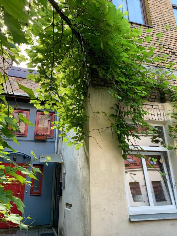 Old Studio Apartment فيلنيوس المظهر الخارجي الصورة