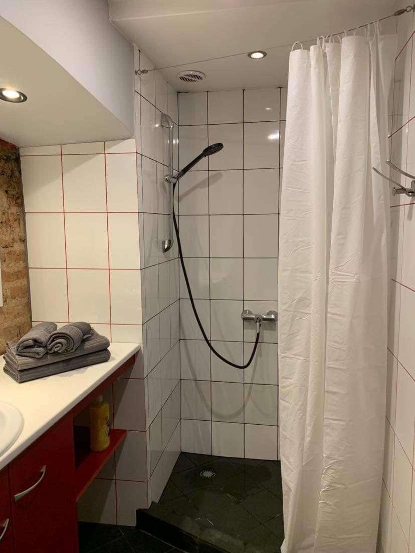 Old Studio Apartment فيلنيوس المظهر الخارجي الصورة